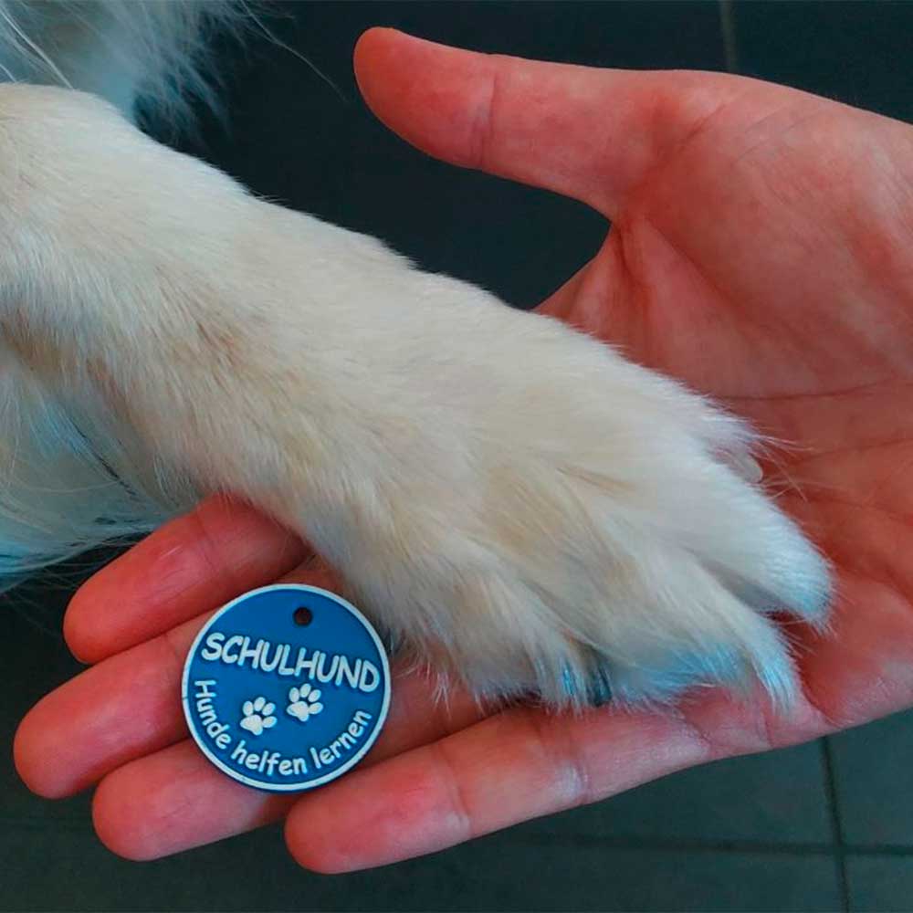 Eva Andree & Schulhund Zappa