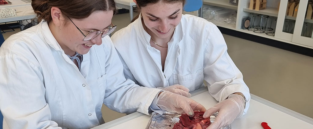 user-28-2025_05_Spektrum-der-Gesundheit_Herz